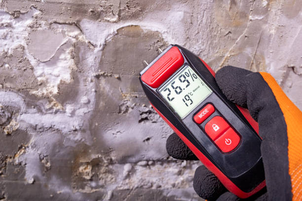 Best Basement Mold Remediation in Chattanoo Valley, GA